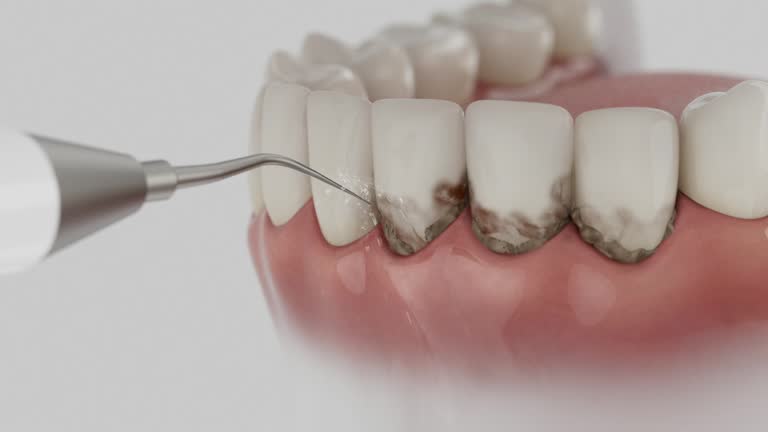 Reliable Dental contractor in Santa Rosa, TX by Dentist Open Now